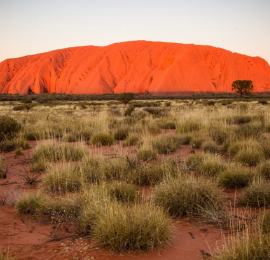 Northern Territory