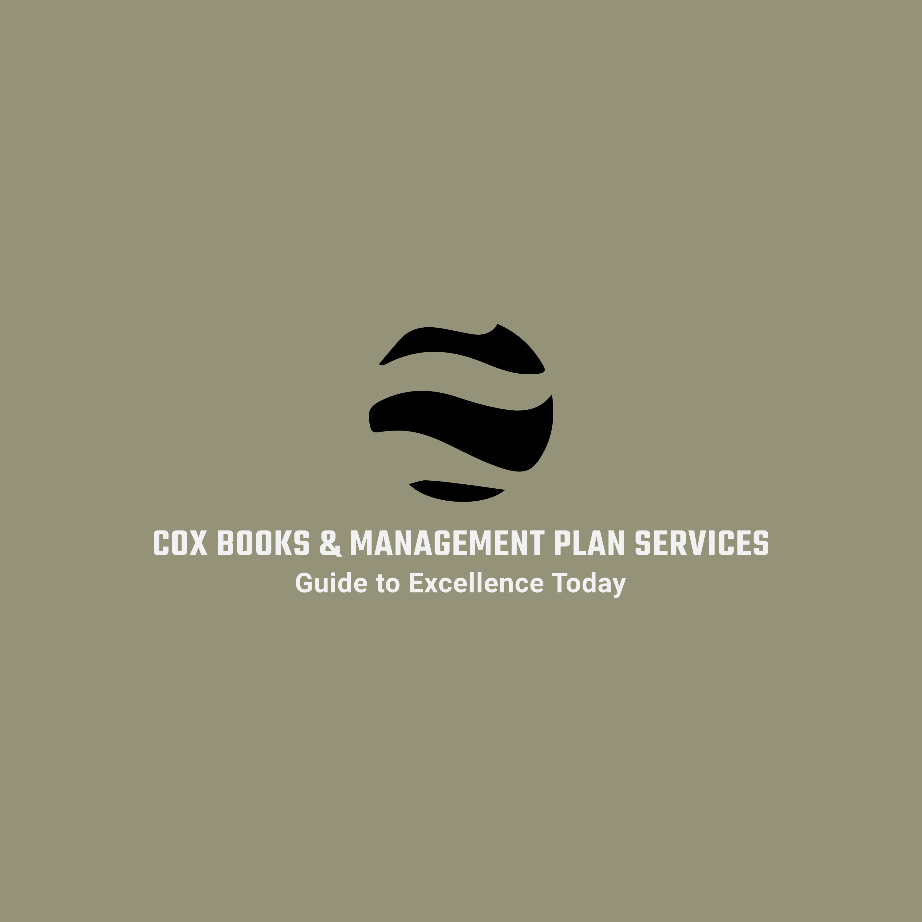 COX BOOKKEEPING AND PLAN MANAGEMENT SERVICES